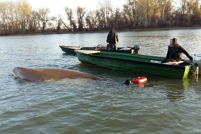 horgaszok_beleestek_jeghideg.jpg horgaszok_beleestek_jeghideg.jpg