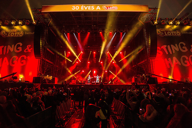 sting_shaggy_3.jpeg sting_shaggy_3.jpeg