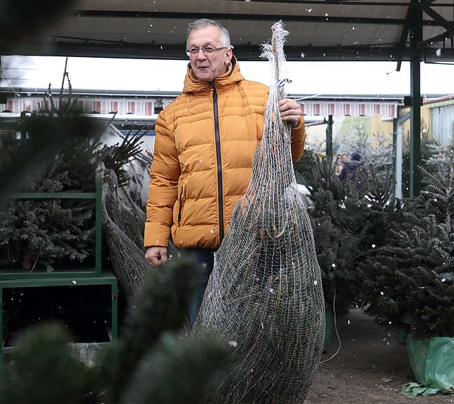 fenyo_vasar_181220ml_4.jpg fenyo_vasar_181220ml_4.jpg