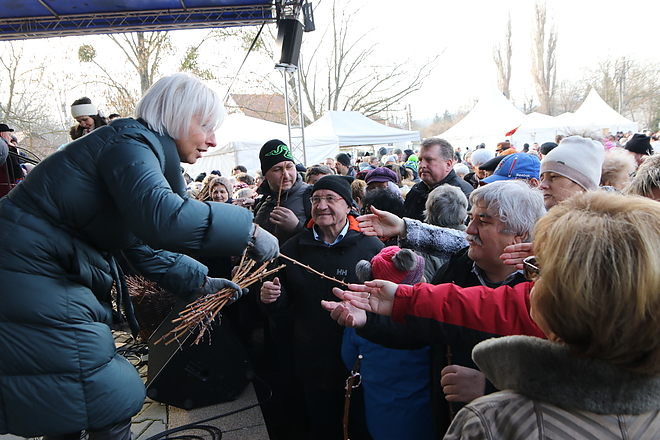 20190119134520_img_0163.jpg 20190119134520_img_0163.jpg