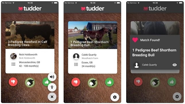 tudder.jpg tudder.jpg