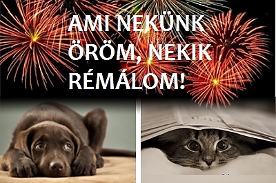 tuzijatek3.jpg