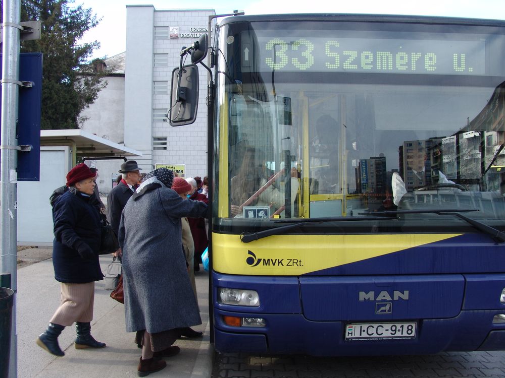 buszdij.jpg