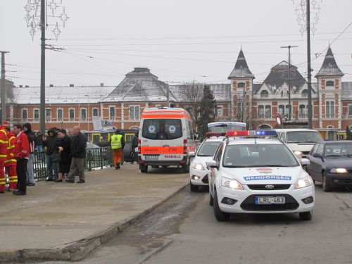 autoszinva_008.jpg