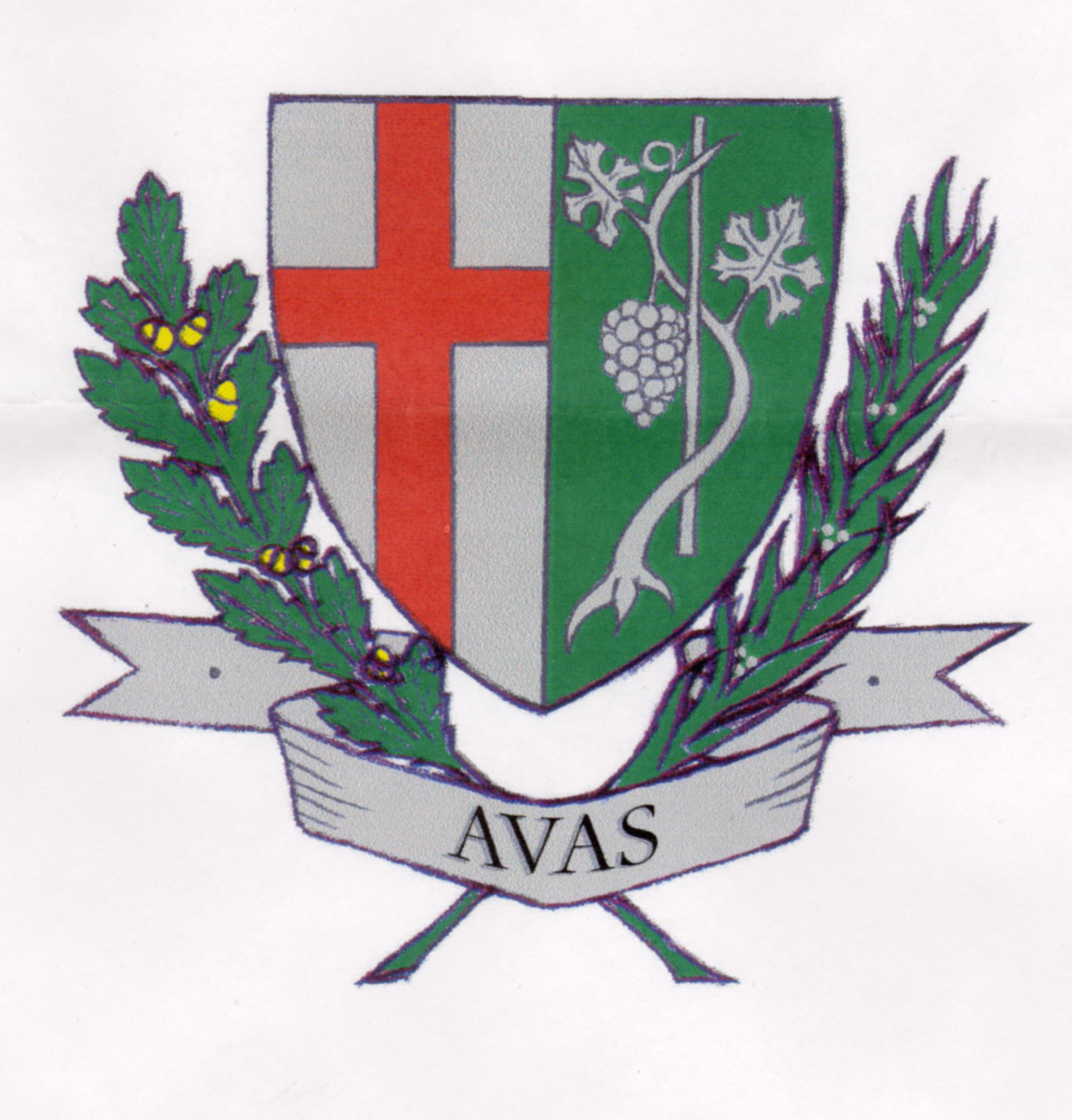 avas-cimer1.jpg