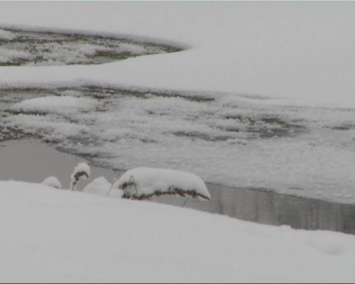 belviz_2010.jpg