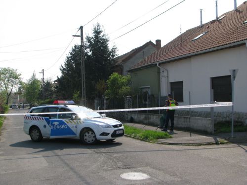 bomba-budaiut..jpg