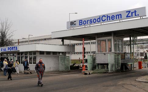 borscham.jpg