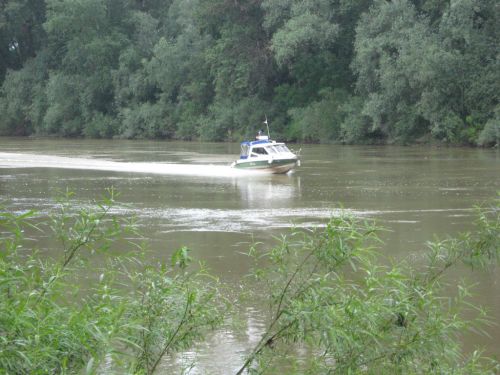 csempeszf1.jpg