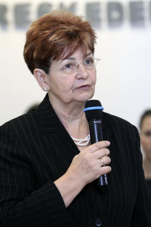 fivosz_02.jpg