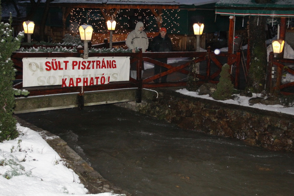 hamorzsakolas3.jpg