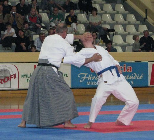 harcmuveszetigala.jpg