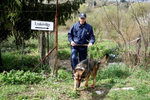 lyukos1.jpg