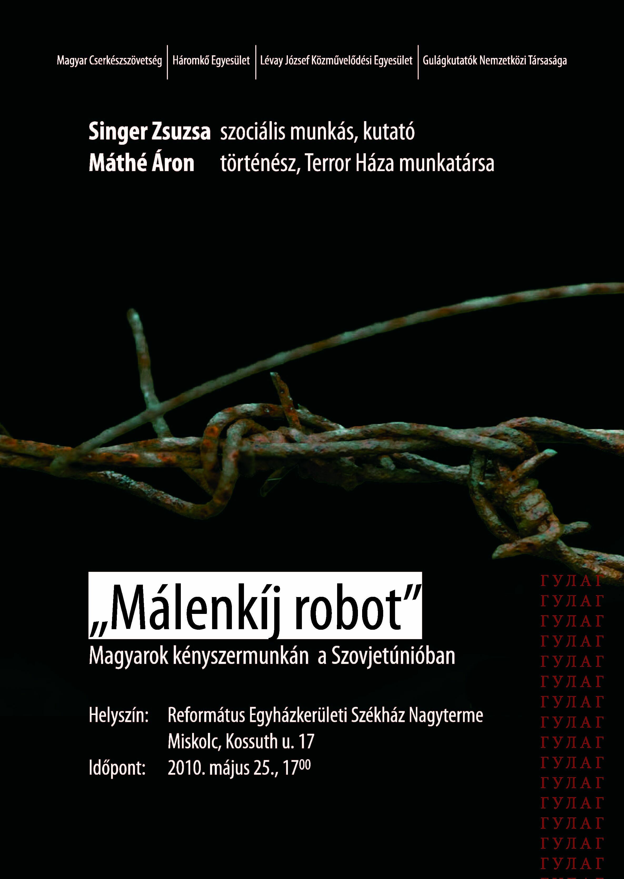 malenkijrobot2010.05.25.1.jpg