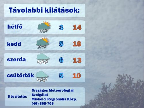 misk_1.jpg