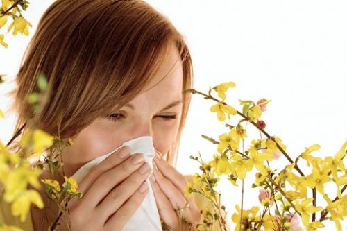 pollen.jpg
