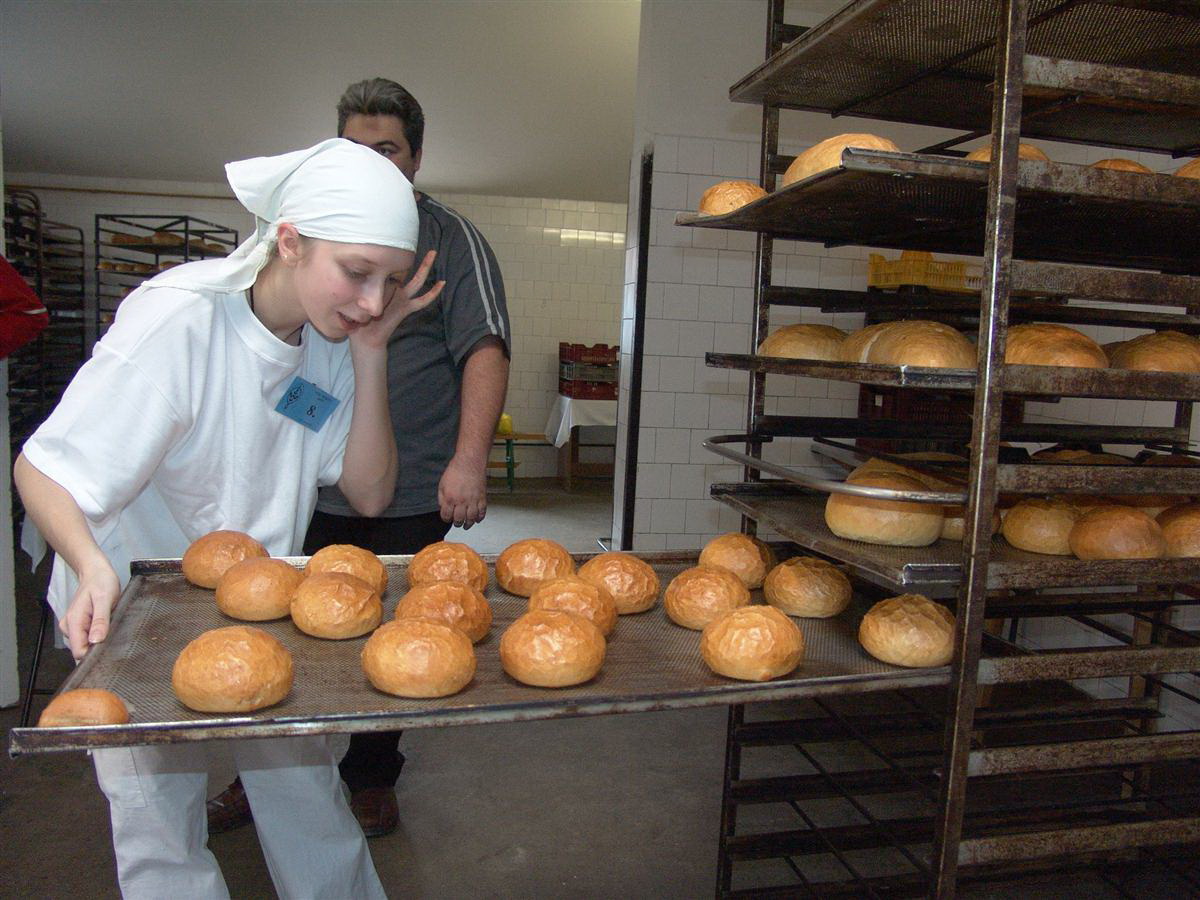 szakmunkastanulo.jpg