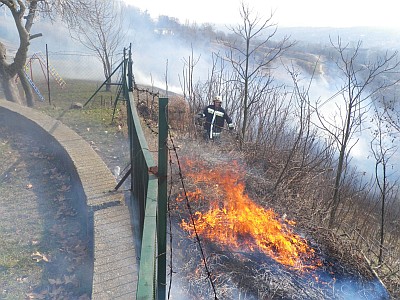 szarazfutuz2.jpg