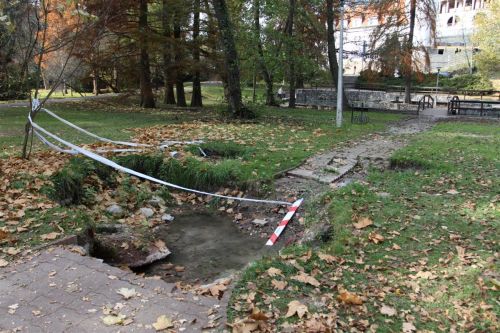 tapolca_2010_nov_bekasto.jpg