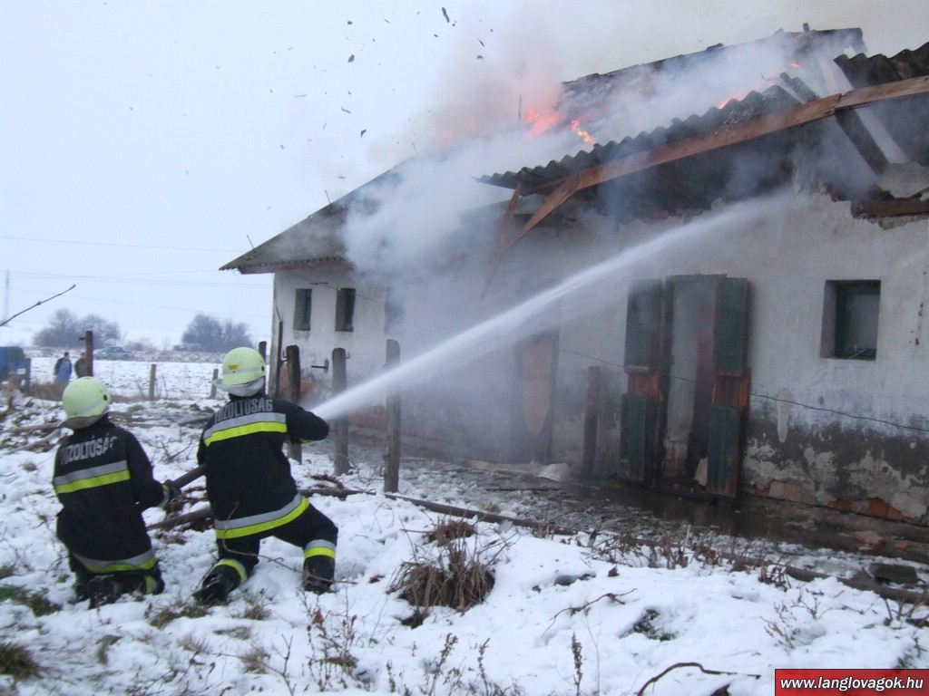 tuznaposcsibek.jpg