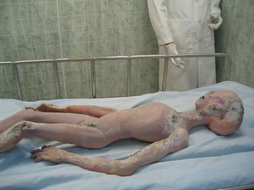 ufok1.jpg