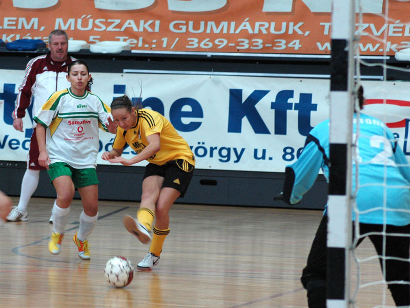 venusz-somafone20100227_006.jpg