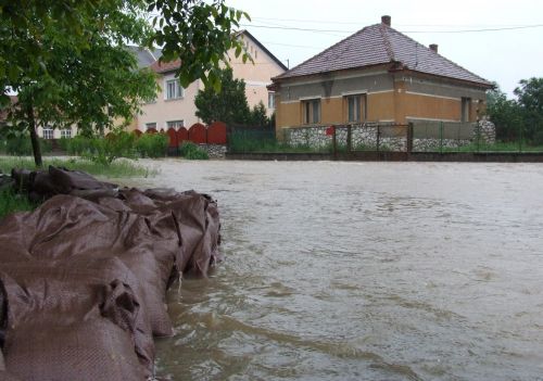 veszhe3.jpg