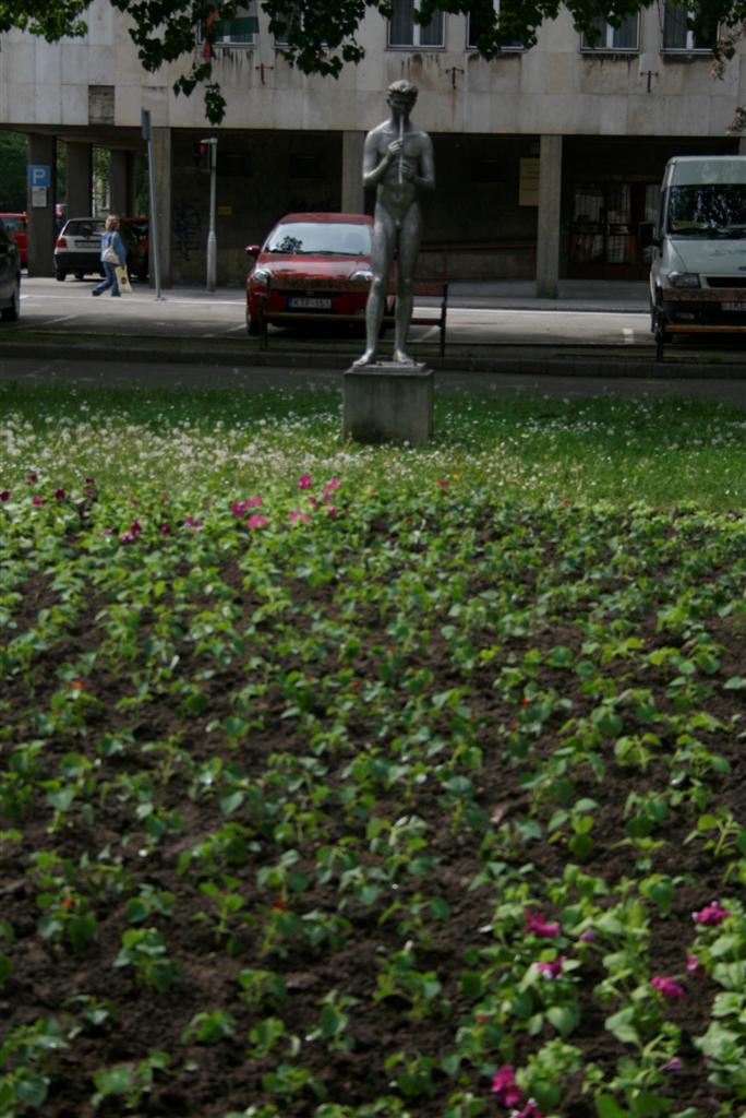 viragositas_088.jpg