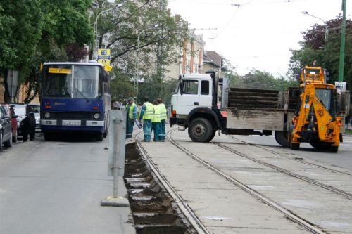zodnyi2.jpg