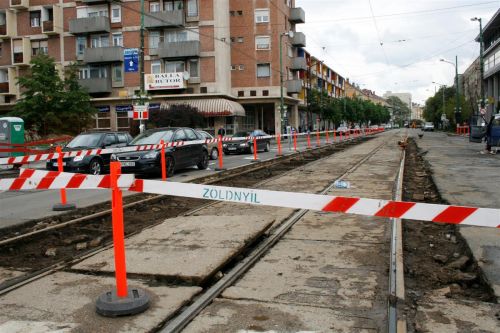 zodnyi3.jpg