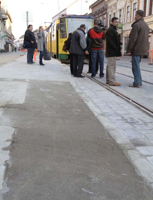 zoldnyil_startbelv_04.jpg