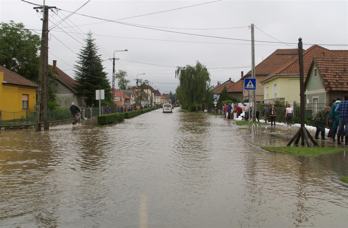 zsolca-arviz.jpg