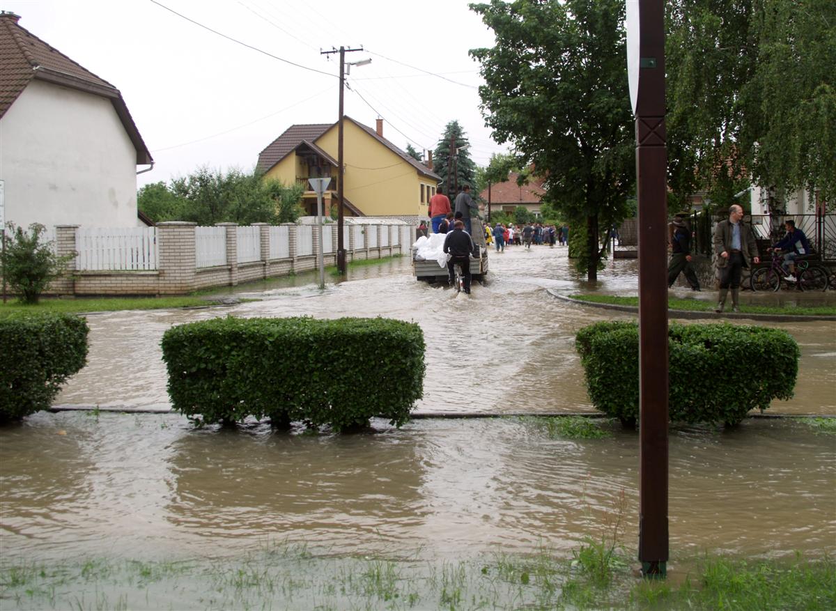 zsolca-arviz_1.jpg