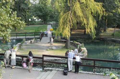 00012_tapolca_sziget_ff_1.jpg