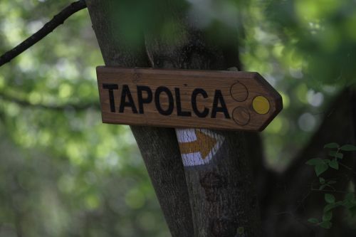 03_tapolcatura_110420_ja_1.jpg