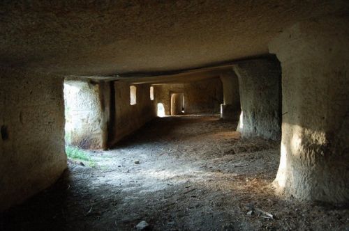 07_kacs_kohodaly.jpg