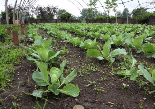 agrokultura_130514ml_0.jpg