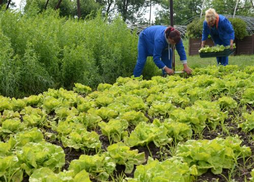 agrokultura_130523_fkcs_1.jpg