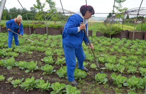 agrokultura_130523_fkcs_11.jpg