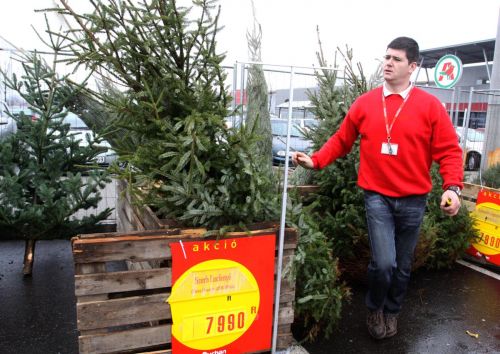 auchan_bevasarlas_111214_ja_3.jpg