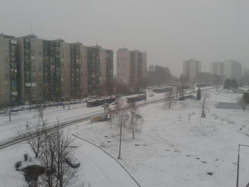 avas-ho-buszok-130222.jpg