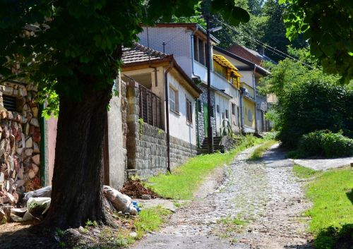 avas_kutatas_130703_fkcs_4.jpg