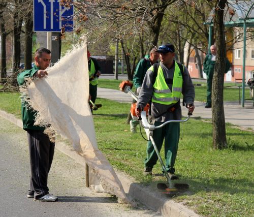 avasi_kerteszkedes_130423_fa_2.jpg