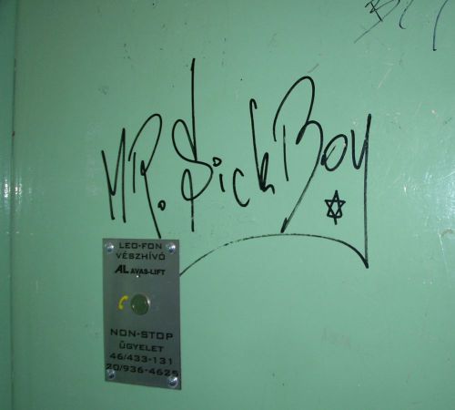 avasifirkalo120604_csl.jpg