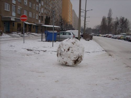 avasihogolyo_130111_csl.jpg