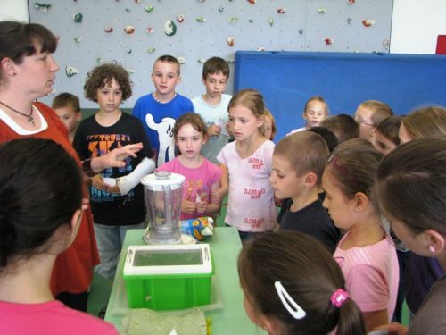 ave_kartondobozgyujtes_diosgyorialtisk_120531_kj_2.jpg