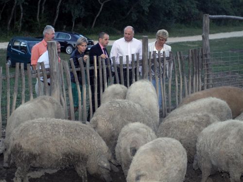 bedegvolgy_2012_09_07_ja_5.jpg