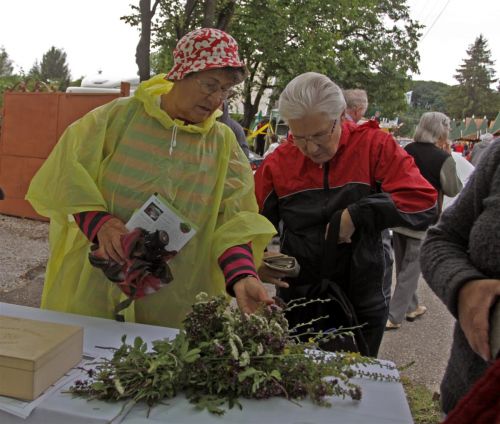 bukkszentkereszti_gyogynovenynapok_120721_ja_13.jpg