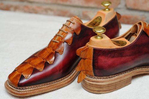 cipo_kroko_130325.jpg