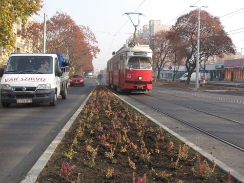 cserje111115_csl.jpg